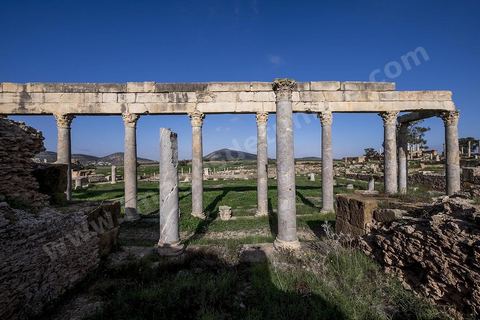 le site archéologique romain de Thuburbo Majus. Thuburbo Majus est située à l'entrée d'El Fahs à 60 km de Tunis, malgré qu’elle soit totalement abandonnée maintenant, elle comptait plus que 10000 habitants au deuxième siècle après J.C. La ville de Thuburbo Majus, existait avant l’arrivée des romains, elle était avant berbère puis carthaginoise. Pendant l’époque romaine, cette cité a connu une prospérité surtout en 128 quand elle reçut le statut de municipe suite à la visite de l’empereur Hadrien. La plupart des monuments de la cité datent de la moitié du 2ème siècle.Seuls 7 Ha sur les 40 Ha ont été fouillés, les trois portes de la ville indiquent son gigantisme.