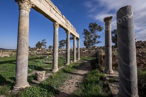 le site archéologique romain de Thuburbo Majus. Thuburbo Majus est située à l'entrée d'El Fahs à 60 km de Tunis, malgré qu’elle soit totalement abandonnée maintenant, elle comptait plus que 10000 habitants au deuxième siècle après J.C. La ville de Thuburbo Majus, existait avant l’arrivée des romains, elle était avant berbère puis carthaginoise. Pendant l’époque romaine, cette cité a connu une prospérité surtout en 128 quand elle reçut le statut de municipe suite à la visite de l’empereur Hadrien. La plupart des monuments de la cité datent de la moitié du 2ème siècle.Seuls 7 Ha sur les 40 Ha ont été fouillés, les trois portes de la ville indiquent son gigantisme.