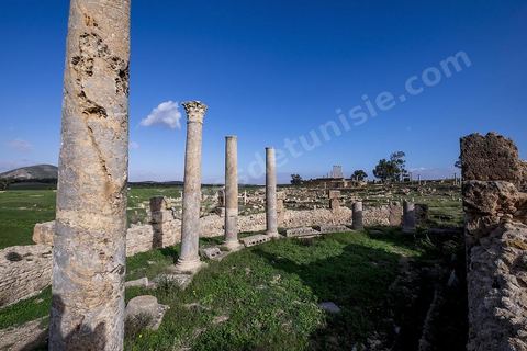 le site archéologique romain de Thuburbo Majus. Thuburbo Majus est située à l'entrée d'El Fahs à 60 km de Tunis, malgré qu’elle soit totalement abandonnée maintenant, elle comptait plus que 10000 habitants au deuxième siècle après J.C. La ville de Thuburbo Majus, existait avant l’arrivée des romains, elle était avant berbère puis carthaginoise. Pendant l’époque romaine, cette cité a connu une prospérité surtout en 128 quand elle reçut le statut de municipe suite à la visite de l’empereur Hadrien. La plupart des monuments de la cité datent de la moitié du 2ème siècle.Seuls 7 Ha sur les 40 Ha ont été fouillés, les trois portes de la ville indiquent son gigantisme.