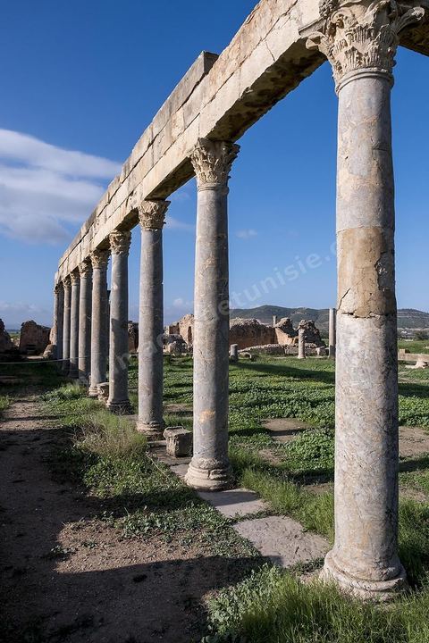 le site archéologique romain de Thuburbo Majus. Thuburbo Majus est située à l'entrée d'El Fahs à 60 km de Tunis, malgré qu’elle soit totalement abandonnée maintenant, elle comptait plus que 10000 habitants au deuxième siècle après J.C. La ville de Thuburbo Majus, existait avant l’arrivée des romains, elle était avant berbère puis carthaginoise. Pendant l’époque romaine, cette cité a connu une prospérité surtout en 128 quand elle reçut le statut de municipe suite à la visite de l’empereur Hadrien. La plupart des monuments de la cité datent de la moitié du 2ème siècle.Seuls 7 Ha sur les 40 Ha ont été fouillés, les trois portes de la ville indiquent son gigantisme.