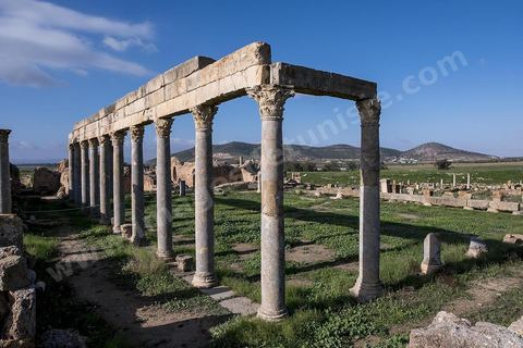 le site archéologique romain de Thuburbo Majus. Thuburbo Majus est située à l'entrée d'El Fahs à 60 km de Tunis, malgré qu’elle soit totalement abandonnée maintenant, elle comptait plus que 10000 habitants au deuxième siècle après J.C. La ville de Thuburbo Majus, existait avant l’arrivée des romains, elle était avant berbère puis carthaginoise. Pendant l’époque romaine, cette cité a connu une prospérité surtout en 128 quand elle reçut le statut de municipe suite à la visite de l’empereur Hadrien. La plupart des monuments de la cité datent de la moitié du 2ème siècle.Seuls 7 Ha sur les 40 Ha ont été fouillés, les trois portes de la ville indiquent son gigantisme.