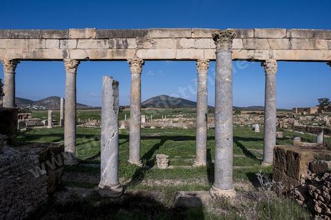 le site archéologique romain de Thuburbo Majus. Thuburbo Majus est située à l'entrée d'El Fahs à 60 km de Tunis, malgré qu’elle soit totalement abandonnée maintenant, elle comptait plus que 10000 habitants au deuxième siècle après J.C. La ville de Thuburbo Majus, existait avant l’arrivée des romains, elle était avant berbère puis carthaginoise. Pendant l’époque romaine, cette cité a connu une prospérité surtout en 128 quand elle reçut le statut de municipe suite à la visite de l’empereur Hadrien. La plupart des monuments de la cité datent de la moitié du 2ème siècle.Seuls 7 Ha sur les 40 Ha ont été fouillés, les trois portes de la ville indiquent son gigantisme.