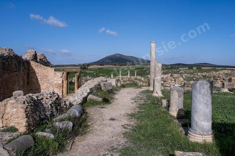le site archéologique romain de Thuburbo Majus. Thuburbo Majus est située à l'entrée d'El Fahs à 60 km de Tunis, malgré qu’elle soit totalement abandonnée maintenant, elle comptait plus que 10000 habitants au deuxième siècle après J.C. La ville de Thuburbo Majus, existait avant l’arrivée des romains, elle était avant berbère puis carthaginoise. Pendant l’époque romaine, cette cité a connu une prospérité surtout en 128 quand elle reçut le statut de municipe suite à la visite de l’empereur Hadrien. La plupart des monuments de la cité datent de la moitié du 2ème siècle.Seuls 7 Ha sur les 40 Ha ont été fouillés, les trois portes de la ville indiquent son gigantisme.