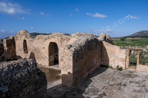 le site archéologique romain de Thuburbo Majus. Thuburbo Majus est située à l'entrée d'El Fahs à 60 km de Tunis, malgré qu’elle soit totalement abandonnée maintenant, elle comptait plus que 10000 habitants au deuxième siècle après J.C. La ville de Thuburbo Majus, existait avant l’arrivée des romains, elle était avant berbère puis carthaginoise. Pendant l’époque romaine, cette cité a connu une prospérité surtout en 128 quand elle reçut le statut de municipe suite à la visite de l’empereur Hadrien. La plupart des monuments de la cité datent de la moitié du 2ème siècle.Seuls 7 Ha sur les 40 Ha ont été fouillés, les trois portes de la ville indiquent son gigantisme.