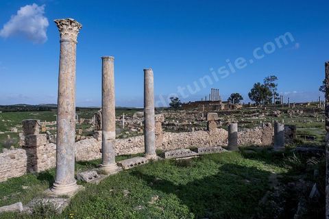 le site archéologique romain de Thuburbo Majus. Thuburbo Majus est située à l'entrée d'El Fahs à 60 km de Tunis, malgré qu’elle soit totalement abandonnée maintenant, elle comptait plus que 10000 habitants au deuxième siècle après J.C. La ville de Thuburbo Majus, existait avant l’arrivée des romains, elle était avant berbère puis carthaginoise. Pendant l’époque romaine, cette cité a connu une prospérité surtout en 128 quand elle reçut le statut de municipe suite à la visite de l’empereur Hadrien. La plupart des monuments de la cité datent de la moitié du 2ème siècle.Seuls 7 Ha sur les 40 Ha ont été fouillés, les trois portes de la ville indiquent son gigantisme.