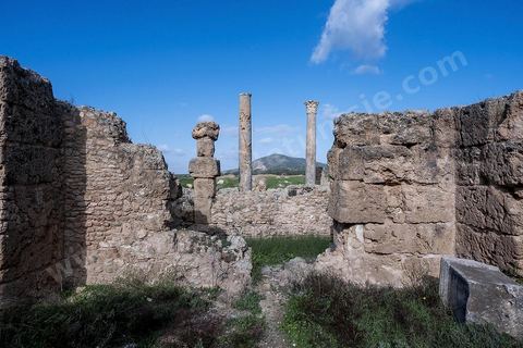 le site archéologique romain de Thuburbo Majus. Thuburbo Majus est située à l'entrée d'El Fahs à 60 km de Tunis, malgré qu’elle soit totalement abandonnée maintenant, elle comptait plus que 10000 habitants au deuxième siècle après J.C. La ville de Thuburbo Majus, existait avant l’arrivée des romains, elle était avant berbère puis carthaginoise. Pendant l’époque romaine, cette cité a connu une prospérité surtout en 128 quand elle reçut le statut de municipe suite à la visite de l’empereur Hadrien. La plupart des monuments de la cité datent de la moitié du 2ème siècle.Seuls 7 Ha sur les 40 Ha ont été fouillés, les trois portes de la ville indiquent son gigantisme.