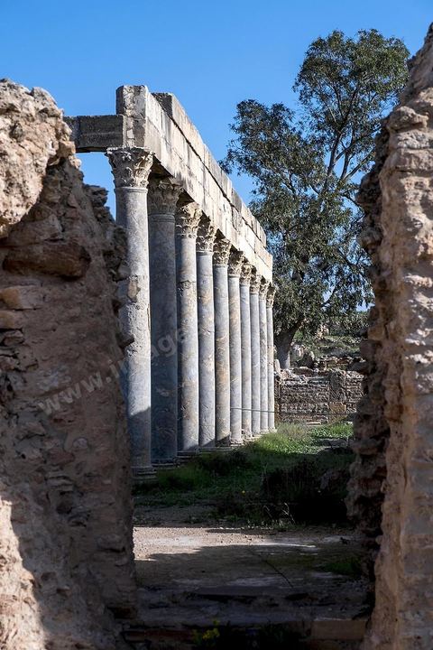 le site archéologique romain de Thuburbo Majus. Thuburbo Majus est située à l'entrée d'El Fahs à 60 km de Tunis, malgré qu’elle soit totalement abandonnée maintenant, elle comptait plus que 10000 habitants au deuxième siècle après J.C. La ville de Thuburbo Majus, existait avant l’arrivée des romains, elle était avant berbère puis carthaginoise. Pendant l’époque romaine, cette cité a connu une prospérité surtout en 128 quand elle reçut le statut de municipe suite à la visite de l’empereur Hadrien. La plupart des monuments de la cité datent de la moitié du 2ème siècle.Seuls 7 Ha sur les 40 Ha ont été fouillés, les trois portes de la ville indiquent son gigantisme.