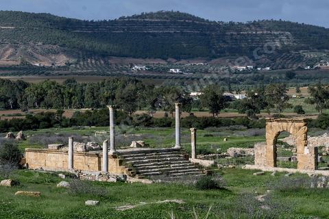 le site archéologique romain de Thuburbo Majus. Thuburbo Majus est située à l'entrée d'El Fahs à 60 km de Tunis, malgré qu’elle soit totalement abandonnée maintenant, elle comptait plus que 10000 habitants au deuxième siècle après J.C. La ville de Thuburbo Majus, existait avant l’arrivée des romains, elle était avant berbère puis carthaginoise. Pendant l’époque romaine, cette cité a connu une prospérité surtout en 128 quand elle reçut le statut de municipe suite à la visite de l’empereur Hadrien. La plupart des monuments de la cité datent de la moitié du 2ème siècle.Seuls 7 Ha sur les 40 Ha ont été fouillés, les trois portes de la ville indiquent son gigantisme.