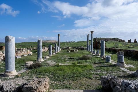 le site archéologique romain de Thuburbo Majus. Thuburbo Majus est située à l'entrée d'El Fahs à 60 km de Tunis, malgré qu’elle soit totalement abandonnée maintenant, elle comptait plus que 10000 habitants au deuxième siècle après J.C. La ville de Thuburbo Majus, existait avant l’arrivée des romains, elle était avant berbère puis carthaginoise. Pendant l’époque romaine, cette cité a connu une prospérité surtout en 128 quand elle reçut le statut de municipe suite à la visite de l’empereur Hadrien. La plupart des monuments de la cité datent de la moitié du 2ème siècle.Seuls 7 Ha sur les 40 Ha ont été fouillés, les trois portes de la ville indiquent son gigantisme.