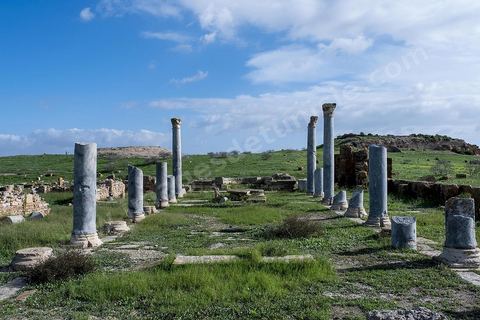 le site archéologique romain de Thuburbo Majus. Thuburbo Majus est située à l'entrée d'El Fahs à 60 km de Tunis, malgré qu’elle soit totalement abandonnée maintenant, elle comptait plus que 10000 habitants au deuxième siècle après J.C. La ville de Thuburbo Majus, existait avant l’arrivée des romains, elle était avant berbère puis carthaginoise. Pendant l’époque romaine, cette cité a connu une prospérité surtout en 128 quand elle reçut le statut de municipe suite à la visite de l’empereur Hadrien. La plupart des monuments de la cité datent de la moitié du 2ème siècle.Seuls 7 Ha sur les 40 Ha ont été fouillés, les trois portes de la ville indiquent son gigantisme.