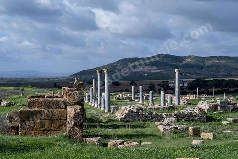 le site archéologique romain de Thuburbo Majus. Thuburbo Majus est située à l'entrée d'El Fahs à 60 km de Tunis, malgré qu’elle soit totalement abandonnée maintenant, elle comptait plus que 10000 habitants au deuxième siècle après J.C. La ville de Thuburbo Majus, existait avant l’arrivée des romains, elle était avant berbère puis carthaginoise. Pendant l’époque romaine, cette cité a connu une prospérité surtout en 128 quand elle reçut le statut de municipe suite à la visite de l’empereur Hadrien. La plupart des monuments de la cité datent de la moitié du 2ème siècle.Seuls 7 Ha sur les 40 Ha ont été fouillés, les trois portes de la ville indiquent son gigantisme.