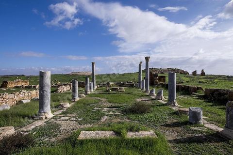 le site archéologique romain de Thuburbo Majus. Thuburbo Majus est située à l'entrée d'El Fahs à 60 km de Tunis, malgré qu’elle soit totalement abandonnée maintenant, elle comptait plus que 10000 habitants au deuxième siècle après J.C. La ville de Thuburbo Majus, existait avant l’arrivée des romains, elle était avant berbère puis carthaginoise. Pendant l’époque romaine, cette cité a connu une prospérité surtout en 128 quand elle reçut le statut de municipe suite à la visite de l’empereur Hadrien. La plupart des monuments de la cité datent de la moitié du 2ème siècle.Seuls 7 Ha sur les 40 Ha ont été fouillés, les trois portes de la ville indiquent son gigantisme.
