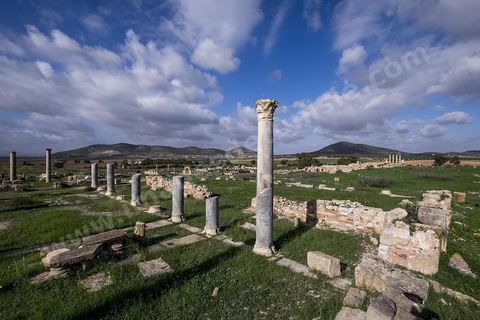 le site archéologique romain de Thuburbo Majus. Thuburbo Majus est située à l'entrée d'El Fahs à 60 km de Tunis, malgré qu’elle soit totalement abandonnée maintenant, elle comptait plus que 10000 habitants au deuxième siècle après J.C. La ville de Thuburbo Majus, existait avant l’arrivée des romains, elle était avant berbère puis carthaginoise. Pendant l’époque romaine, cette cité a connu une prospérité surtout en 128 quand elle reçut le statut de municipe suite à la visite de l’empereur Hadrien. La plupart des monuments de la cité datent de la moitié du 2ème siècle.Seuls 7 Ha sur les 40 Ha ont été fouillés, les trois portes de la ville indiquent son gigantisme.