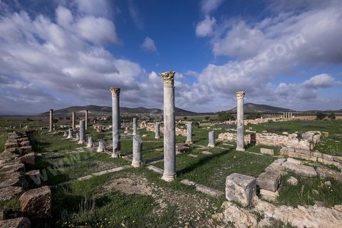 le site archéologique romain de Thuburbo Majus. Thuburbo Majus est située à l'entrée d'El Fahs à 60 km de Tunis, malgré qu’elle soit totalement abandonnée maintenant, elle comptait plus que 10000 habitants au deuxième siècle après J.C. La ville de Thuburbo Majus, existait avant l’arrivée des romains, elle était avant berbère puis carthaginoise. Pendant l’époque romaine, cette cité a connu une prospérité surtout en 128 quand elle reçut le statut de municipe suite à la visite de l’empereur Hadrien. La plupart des monuments de la cité datent de la moitié du 2ème siècle.Seuls 7 Ha sur les 40 Ha ont été fouillés, les trois portes de la ville indiquent son gigantisme.