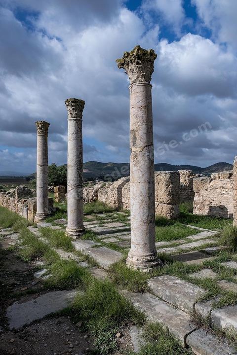 le site archéologique romain de Thuburbo Majus. Thuburbo Majus est située à l'entrée d'El Fahs à 60 km de Tunis, malgré qu’elle soit totalement abandonnée maintenant, elle comptait plus que 10000 habitants au deuxième siècle après J.C. La ville de Thuburbo Majus, existait avant l’arrivée des romains, elle était avant berbère puis carthaginoise. Pendant l’époque romaine, cette cité a connu une prospérité surtout en 128 quand elle reçut le statut de municipe suite à la visite de l’empereur Hadrien. La plupart des monuments de la cité datent de la moitié du 2ème siècle.Seuls 7 Ha sur les 40 Ha ont été fouillés, les trois portes de la ville indiquent son gigantisme.