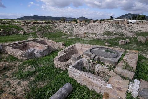 le site archéologique romain de Thuburbo Majus. Thuburbo Majus est située à l'entrée d'El Fahs à 60 km de Tunis, malgré qu’elle soit totalement abandonnée maintenant, elle comptait plus que 10000 habitants au deuxième siècle après J.C. La ville de Thuburbo Majus, existait avant l’arrivée des romains, elle était avant berbère puis carthaginoise. Pendant l’époque romaine, cette cité a connu une prospérité surtout en 128 quand elle reçut le statut de municipe suite à la visite de l’empereur Hadrien. La plupart des monuments de la cité datent de la moitié du 2ème siècle.Seuls 7 Ha sur les 40 Ha ont été fouillés, les trois portes de la ville indiquent son gigantisme.