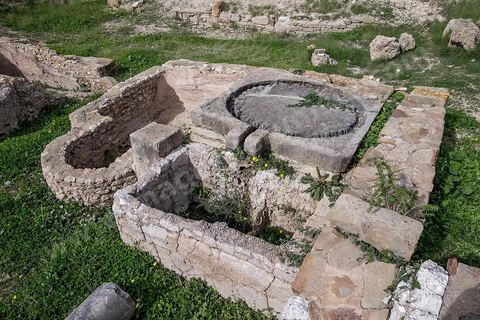 le site archéologique romain de Thuburbo Majus. Thuburbo Majus est située à l'entrée d'El Fahs à 60 km de Tunis, malgré qu’elle soit totalement abandonnée maintenant, elle comptait plus que 10000 habitants au deuxième siècle après J.C. La ville de Thuburbo Majus, existait avant l’arrivée des romains, elle était avant berbère puis carthaginoise. Pendant l’époque romaine, cette cité a connu une prospérité surtout en 128 quand elle reçut le statut de municipe suite à la visite de l’empereur Hadrien. La plupart des monuments de la cité datent de la moitié du 2ème siècle.Seuls 7 Ha sur les 40 Ha ont été fouillés, les trois portes de la ville indiquent son gigantisme.