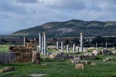 le site archéologique romain de Thuburbo Majus. Thuburbo Majus est située à l'entrée d'El Fahs à 60 km de Tunis, malgré qu’elle soit totalement abandonnée maintenant, elle comptait plus que 10000 habitants au deuxième siècle après J.C. La ville de Thuburbo Majus, existait avant l’arrivée des romains, elle était avant berbère puis carthaginoise. Pendant l’époque romaine, cette cité a connu une prospérité surtout en 128 quand elle reçut le statut de municipe suite à la visite de l’empereur Hadrien. La plupart des monuments de la cité datent de la moitié du 2ème siècle.Seuls 7 Ha sur les 40 Ha ont été fouillés, les trois portes de la ville indiquent son gigantisme.