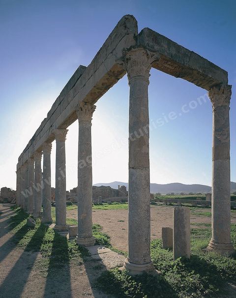 le site archéologique romain de Thuburbo Majus. Thuburbo Majus est située à l'entrée d'El Fahs à 60 km de Tunis, malgré qu’elle soit totalement abandonnée maintenant, elle comptait plus que 10000 habitants au deuxième siècle après J.C. La ville de Thuburbo Majus, existait avant l’arrivée des romains, elle était avant berbère puis carthaginoise. Pendant l’époque romaine, cette cité a connu une prospérité surtout en 128 quand elle reçut le statut de municipe suite à la visite de l’empereur Hadrien. La plupart des monuments de la cité datent de la moitié du 2ème siècle.Seuls 7 Ha sur les 40 Ha ont été fouillés, les trois portes de la ville indiquent son gigantisme.