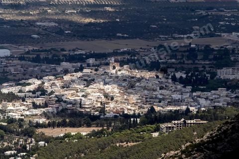 Zaghouan est une ville agricole d'origine romaine (Ziqua) construite au pied du Jebel Zaghouan (1295 m) et riche en fontaines d'eau de source. C'est une charmante petite médina agrippée aux flancs du relief boisé. L’architecture sacrée y reflète de profondes influences andalouses puisqu’une communauté de réfugiés andalous s’y installa au XVII° siècle. 